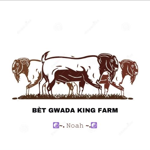BÈT GWADA KING FARM